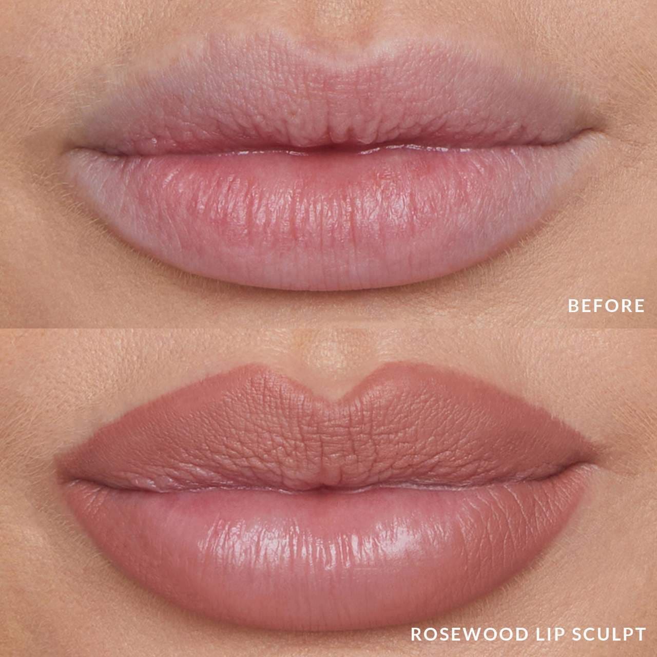 LIP SCULPT LONGWARE LINER