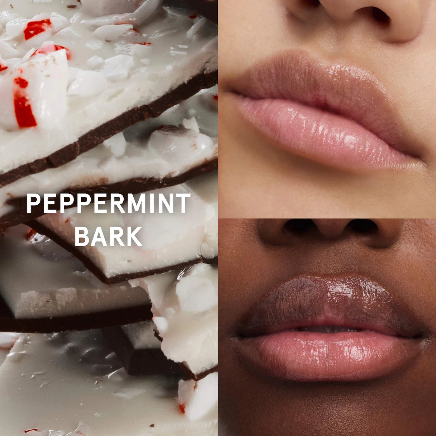 sugar + spice balm dot com lip balm duo