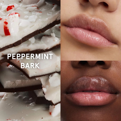 sugar + spice balm dot com lip balm duo