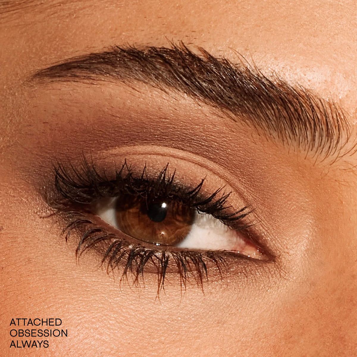 essential artistry edit eyeshadow palette