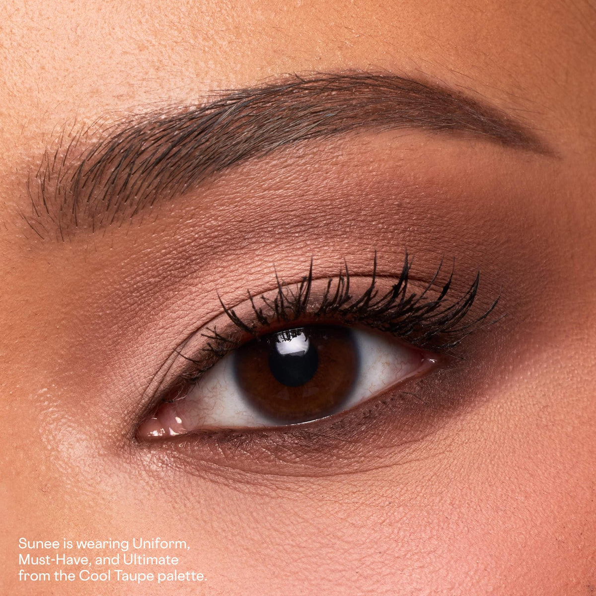 essential artistry edit eyeshadow palette